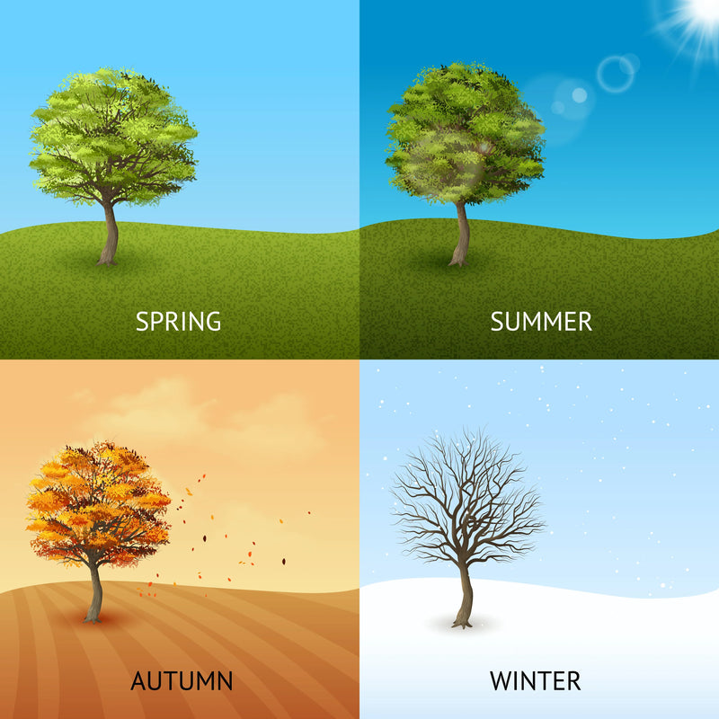 ALL SEASON