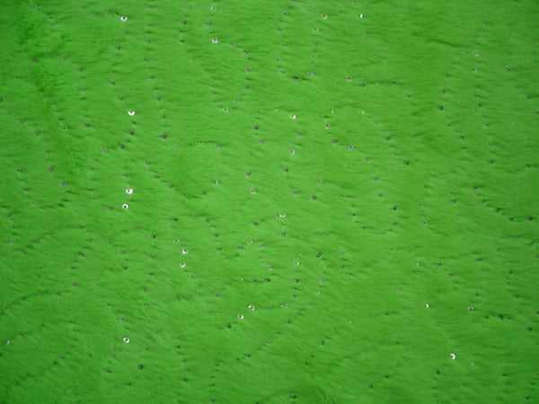 630 Lime