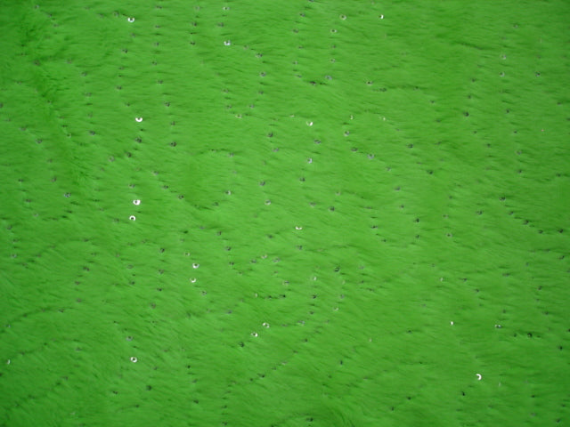 Furry Sequins Fun Fur