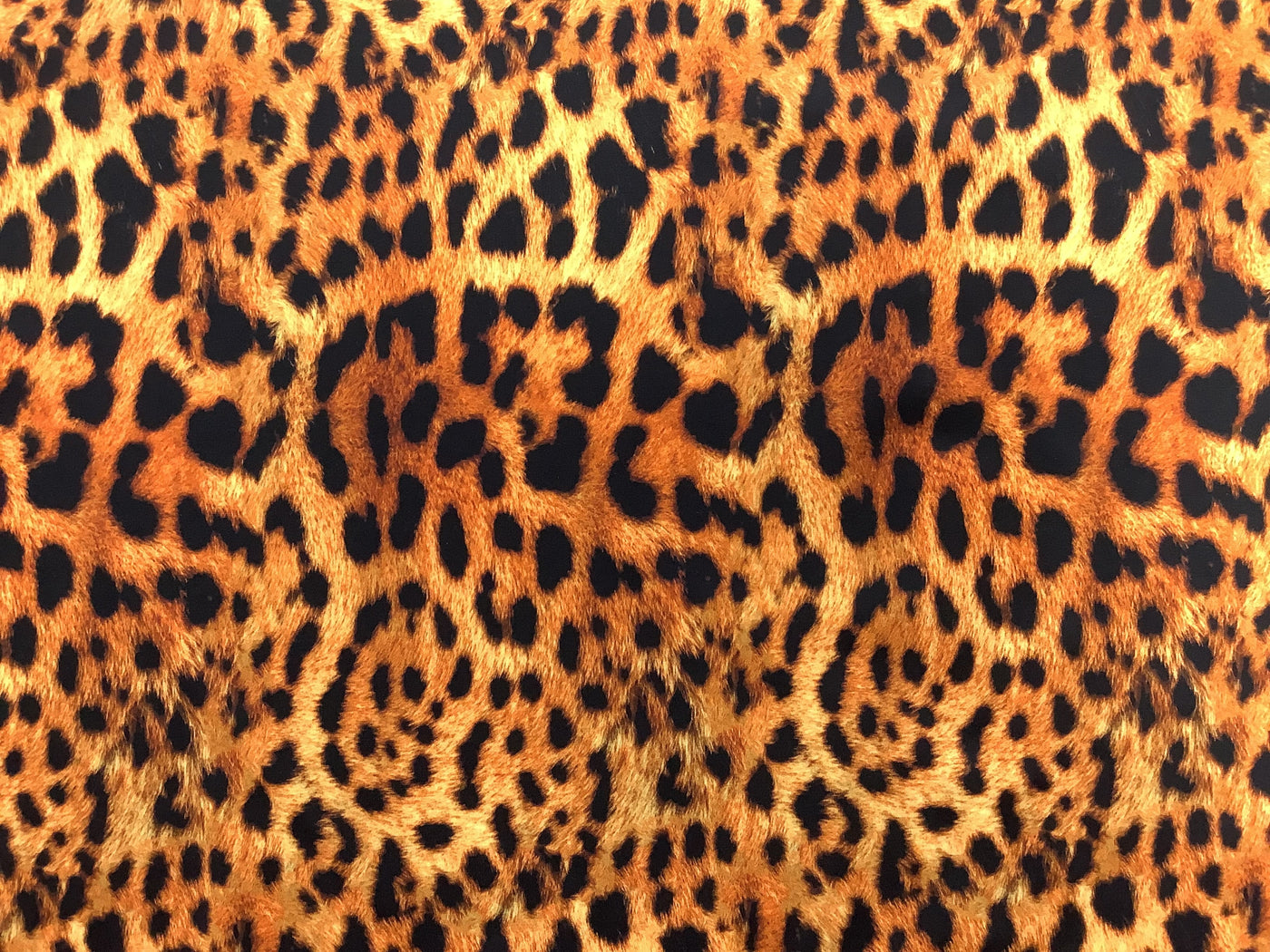 Cheetah Print Spandex