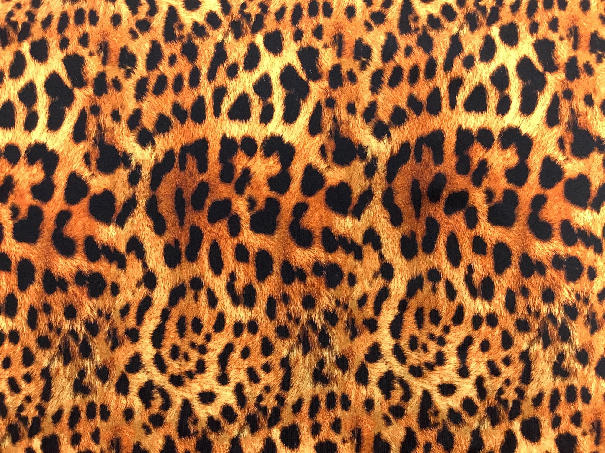 Cheetah Print Spandex