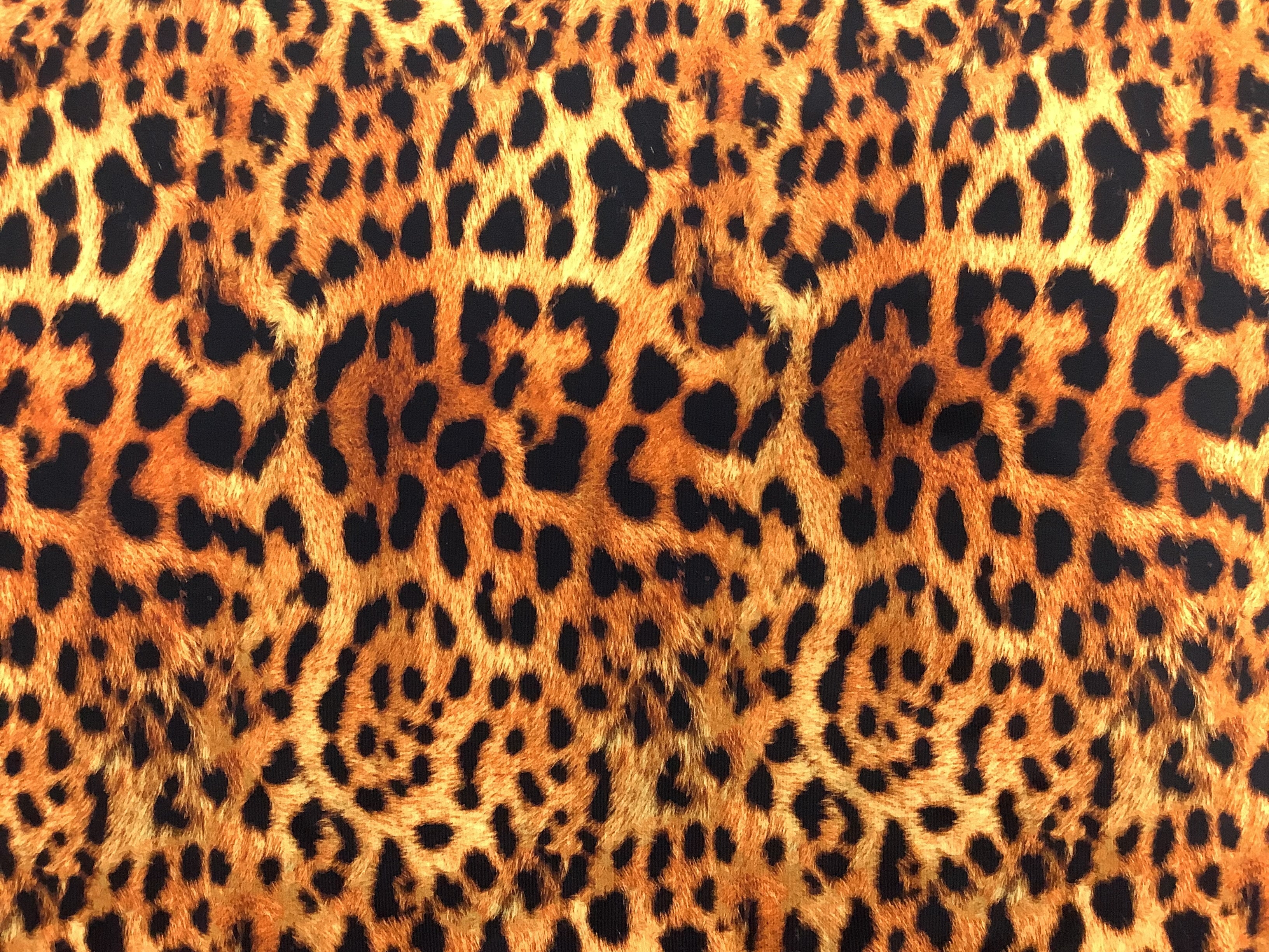 Cheetah Print Spandex
