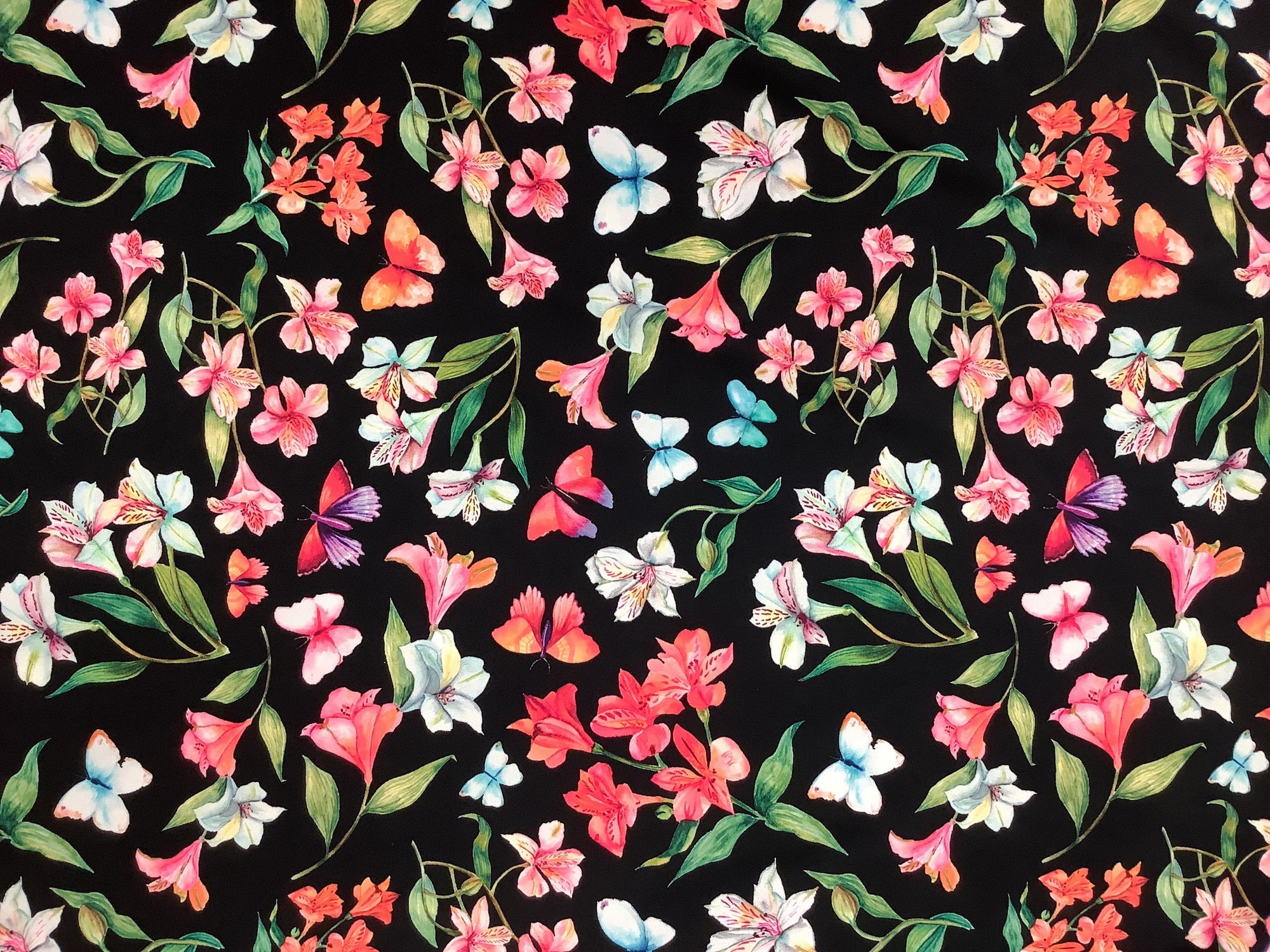 Papillon Print Spandex