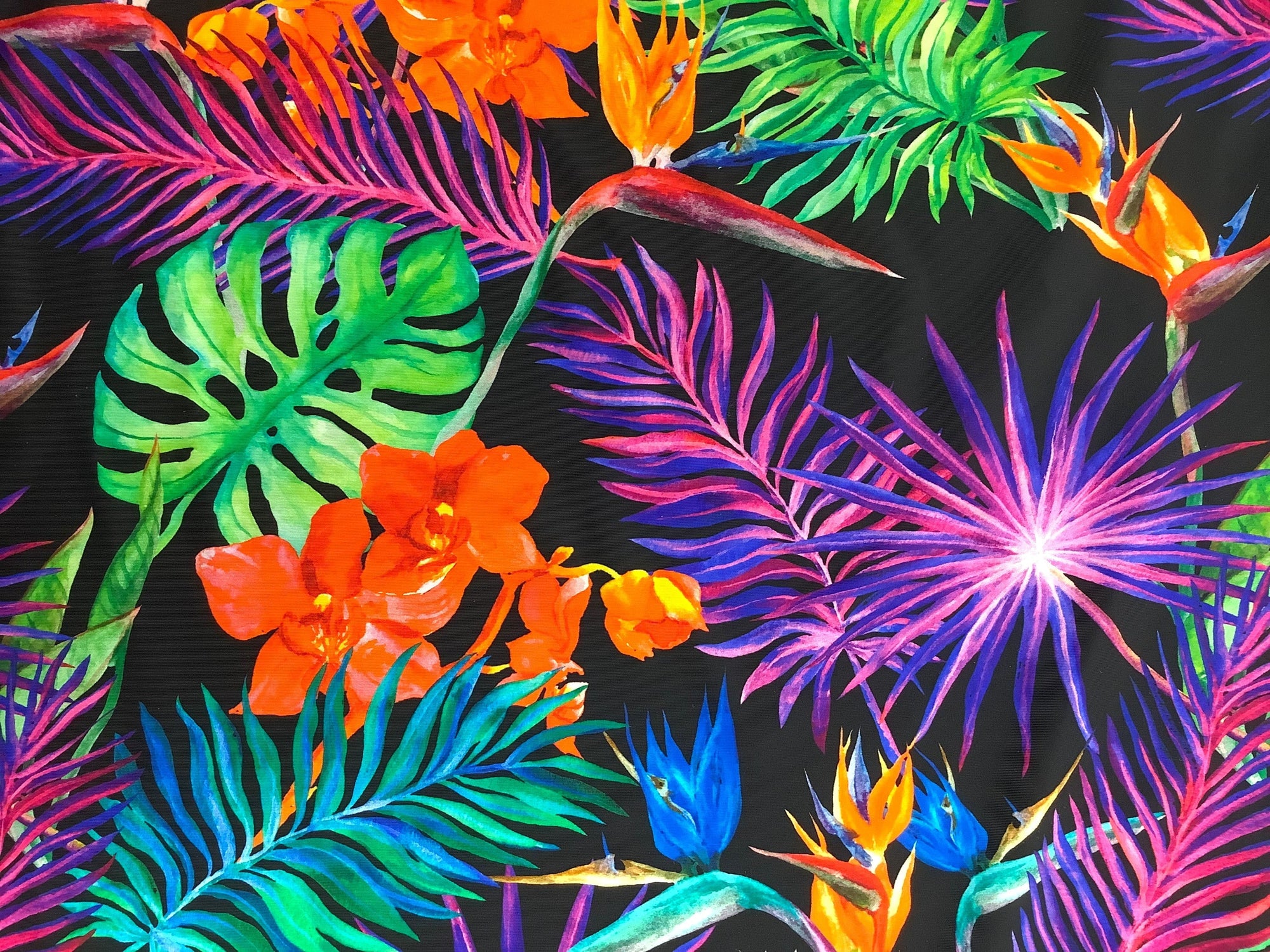 Tropicana Print Spandex