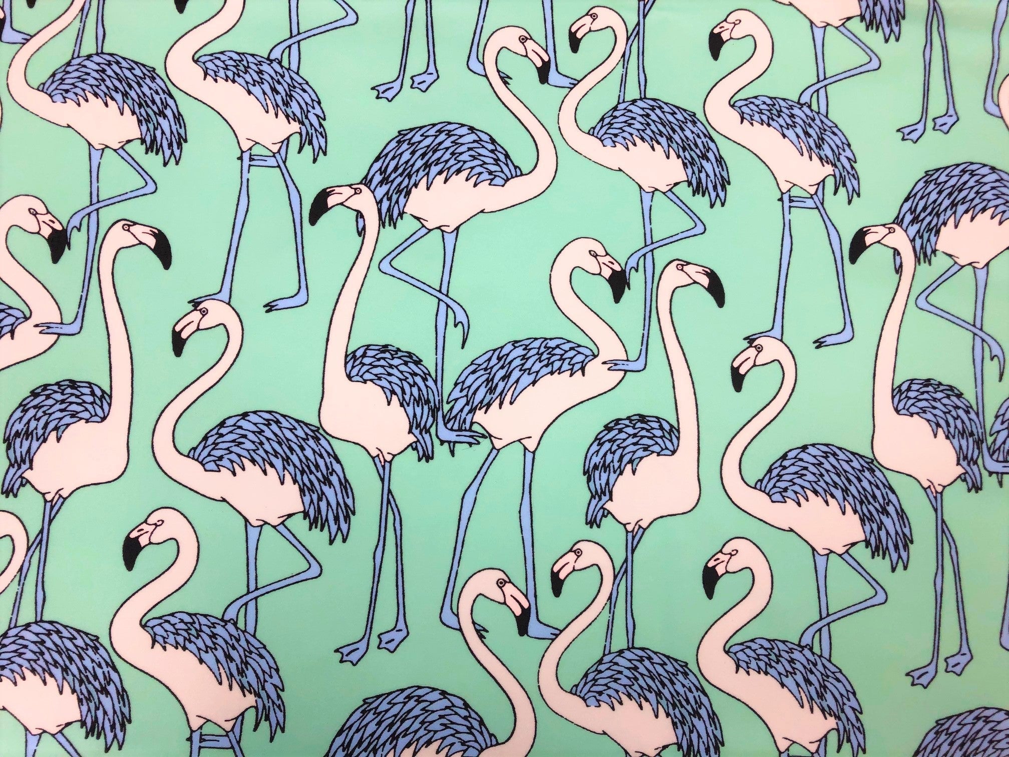 Go Flamingo