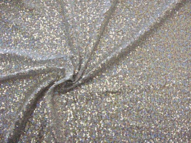 Holo Sequins Netting
