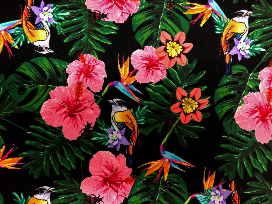 Birds of Paradise Print