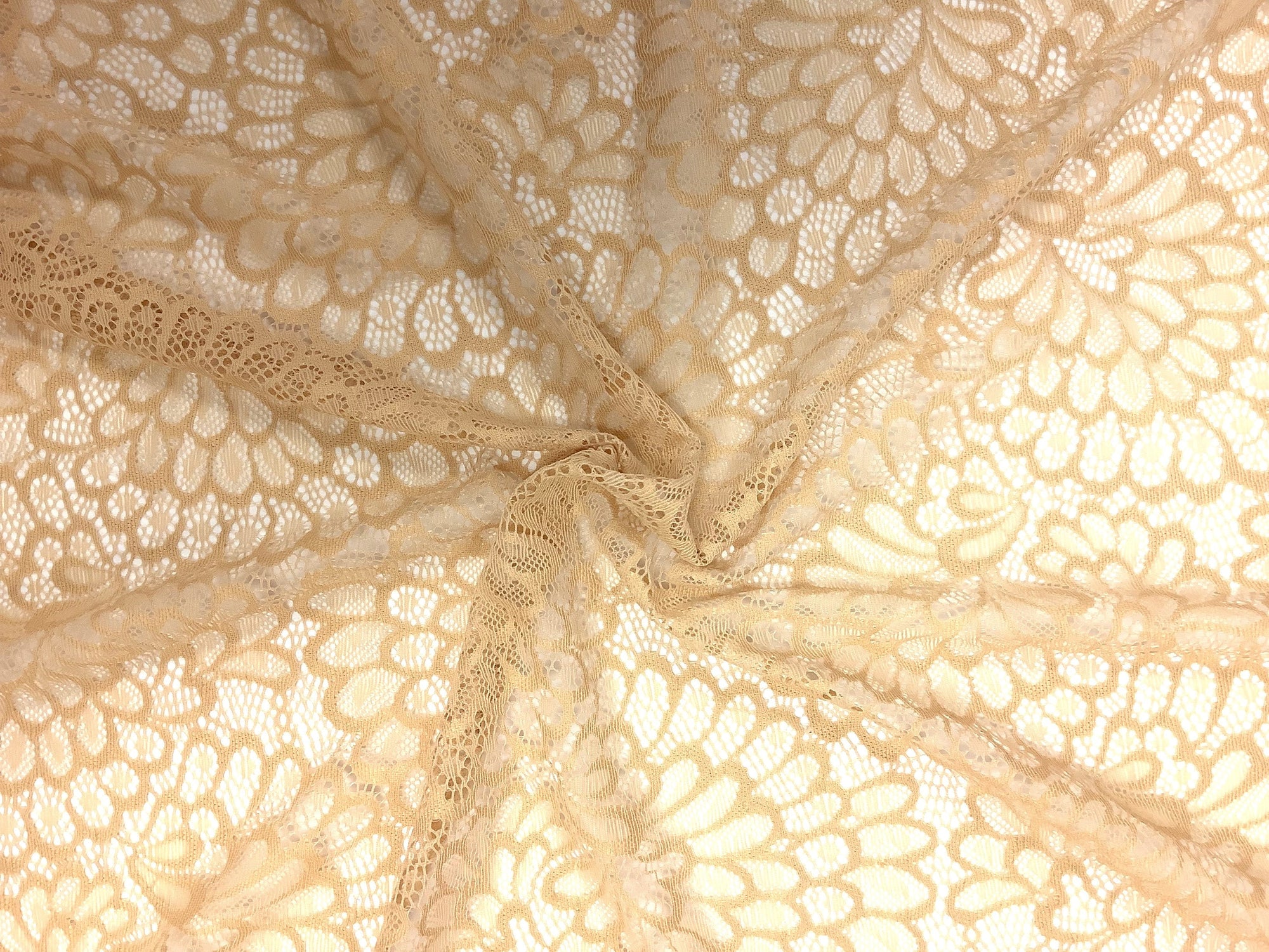 Plumes Lace